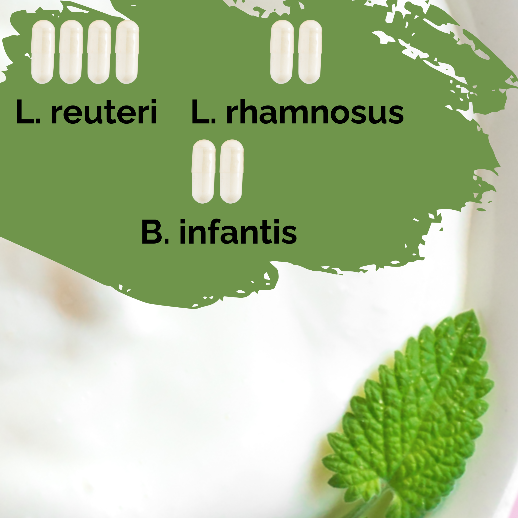 L. reuteri + L. rhamnosus + B. infantis | 요거트 스타터 세트 | 해피 가트 | 스타터 컬처 | 3개입 팩